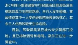 金河11月最新爆料新闻,揭秘行业新动态与神秘项目曝光